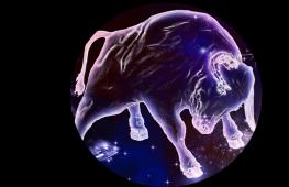 Horoscope des affaires - Horoscope Sagittaire sim'ї - Стрілець