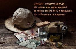 Rusia mund të jetë krenare për qindra mijëra veteranë të operacioneve ushtarake 1 korrik Dita Përkujtimore